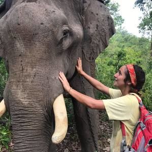 Meet your Posher, Bella